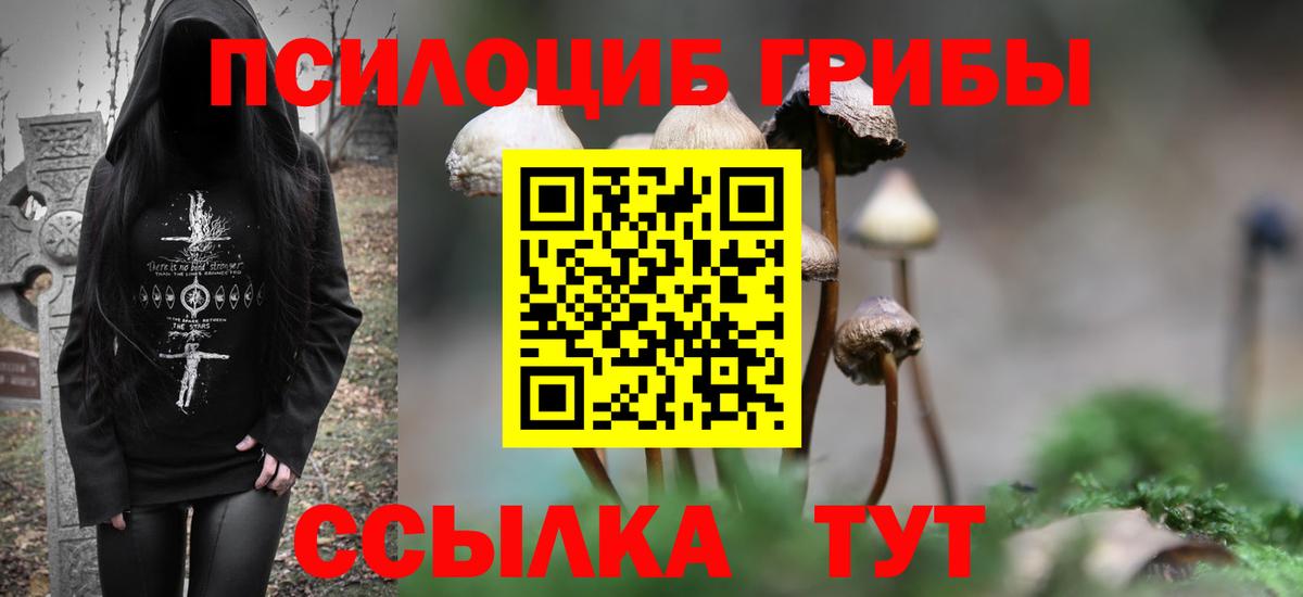 Псилоцибиновые грибы мухоморы Чернушка