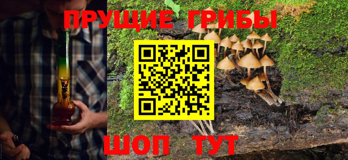 Галлюциногенные грибы мухоморы  Псилоцибиновые грибы ЛСД  Чернушка  Вход с VPN 